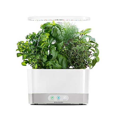 Best aerogarden in 2022 [Based on 50 expert reviews]