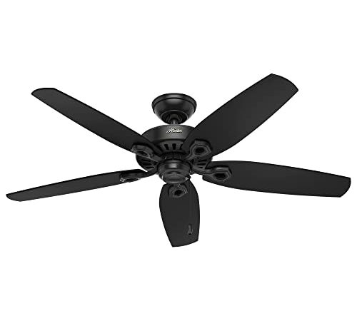 Hunter 53294 52" Builder Elite Damp Ceiling Fan, Matte Black