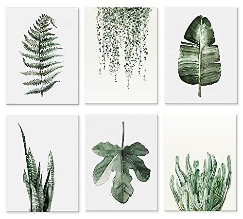 Plant Prints canvas art Home decor, Set of 6（ 8x10 Unframed） Poster Canvas Print, Plant Painting Dewcor for Living Room (color 1)