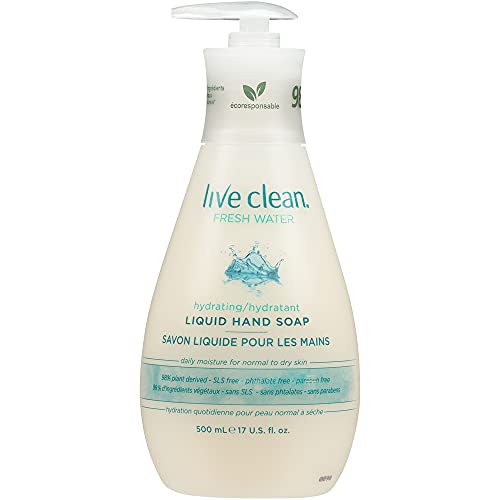 Best hand soap in 2022 [Based on 50 expert reviews]