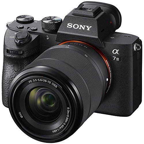 Best sony a7iii in 2022 [Based on 50 expert reviews]