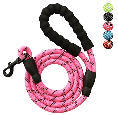 Best dog leash in 2023 [Based on 50 expert reviews]