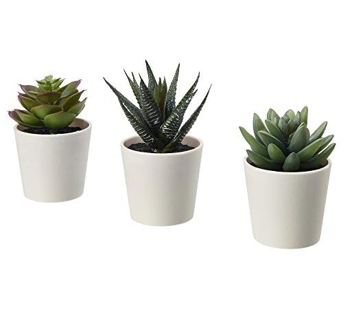 IKEA Fejka Artificial Potted Plant with Pot Indoor Outdoor Succulent / 3 Pack Size 2 ¼ " 3 Pack 203.953.31