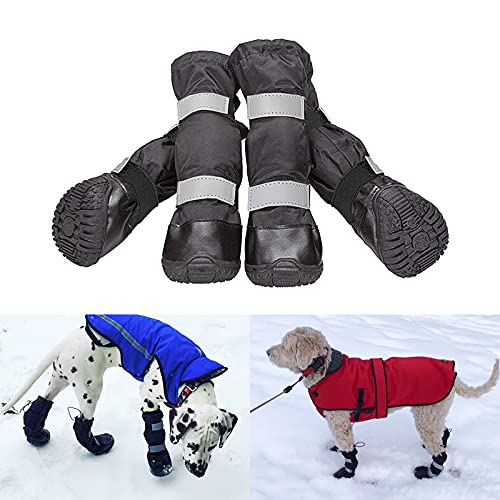 Best dog boots in 2023 [Based on 50 expert reviews]