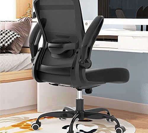 Office Chair, Ergonomic Desk Chair with Adjustable Lumbar Support & Seat Height, High Back Mesh Computer Chair with Flip-up Armrests-BIFMA Passed Task Chairs, Executive Chair for Home Office… (Black)