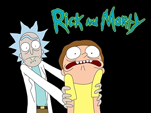 Best rick and morty in 2023 [Based on 50 expert reviews]