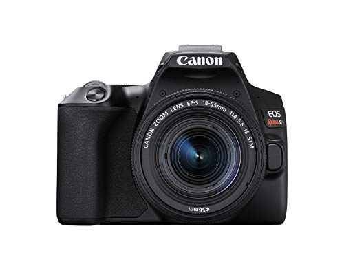 Best canon camera in 2023 [Based on 50 expert reviews]