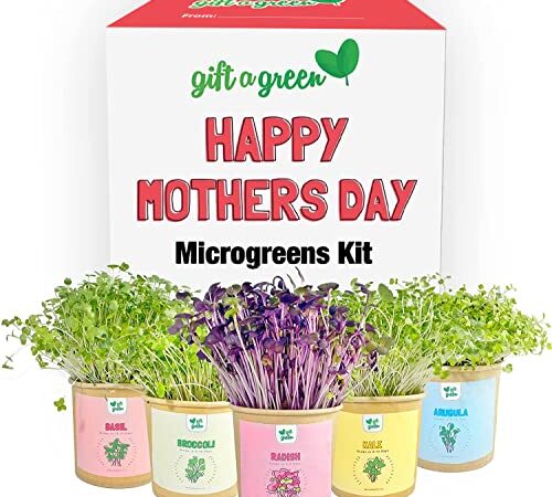 MOTHERS DAY Organic Microgreens Grow Kit by GIFT-A-GREEN | Send a Memorable Mothers Day Gift Basket Where the Recipient Gets to Grow Organic Kale, Arugula, Basil, Radish, Broccoli Microgreens